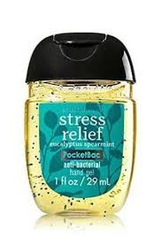 Bath & Body Works Anti-Bacterial Hand Gel 1oz (29ml)